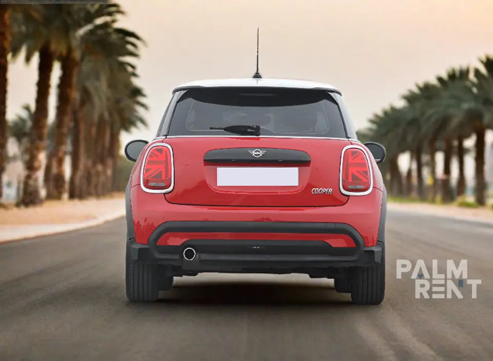 MINI MINI 2024
