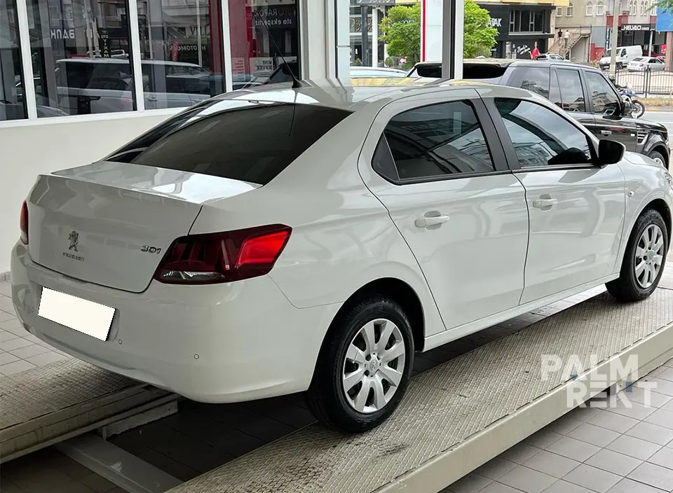 Peugeot Peugeot 2020