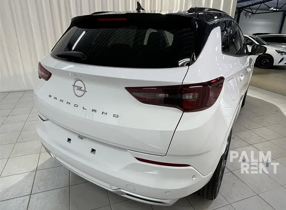 Opel Opel 2024