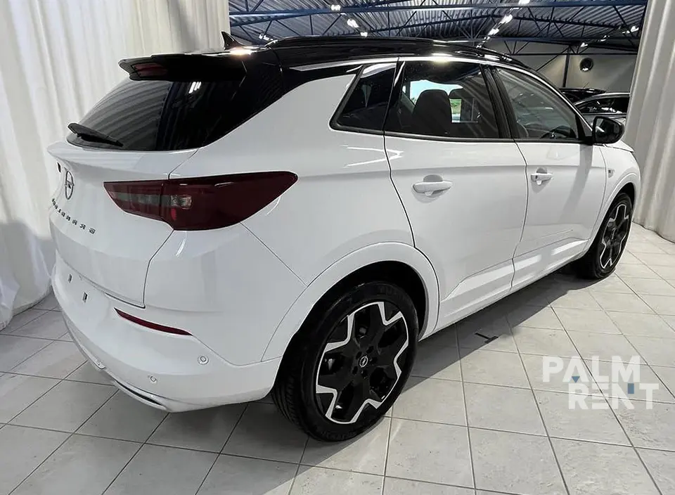 Opel Opel 2024